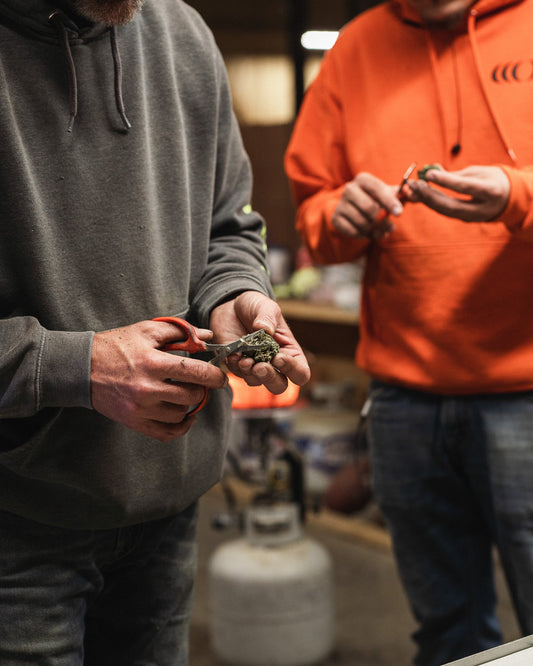 Hand Trimming vs. Machine Trimming: Finding the Perfect Balance for Your Grow Operation