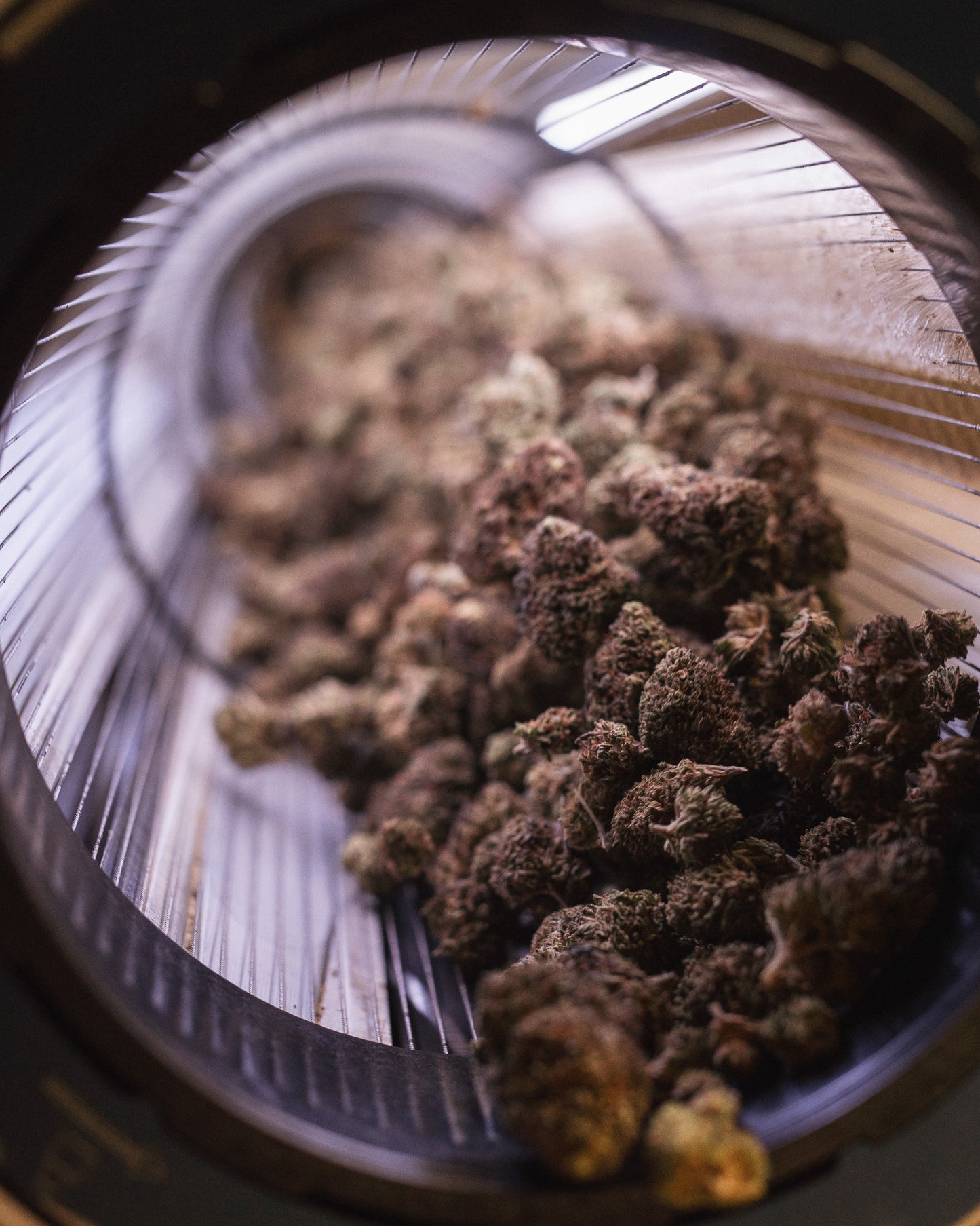 Bulk CBD Flower